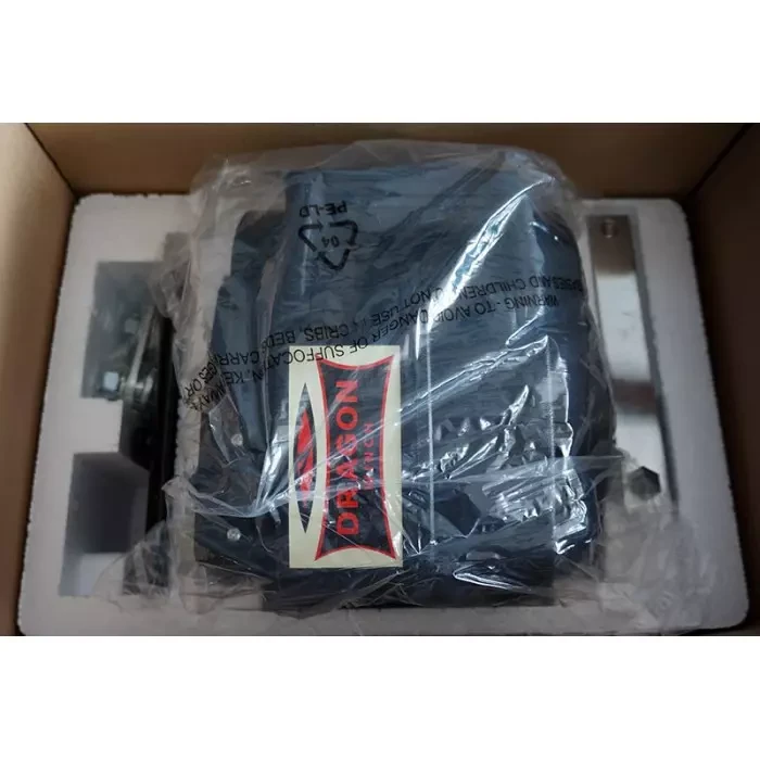 Buy Swing Portable DWP 3500 Electric 12 V