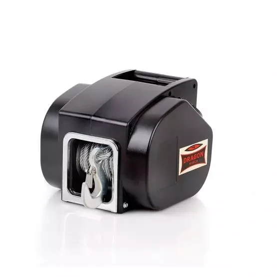 Buy Swing portable DWP 5000 Electric 12 V