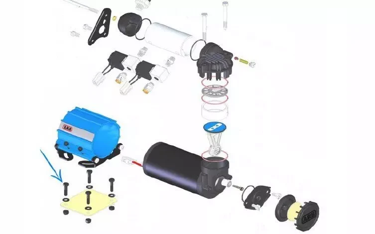 Buy SPECTION TO BRANCH (BOLT) BOLD 200405