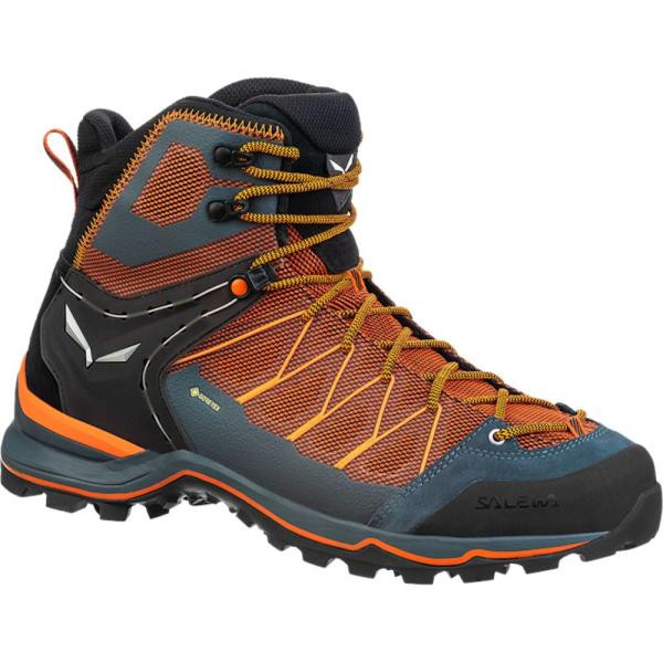 Купить Черевики Salewa MS MTN Trainer Lite MID GTX