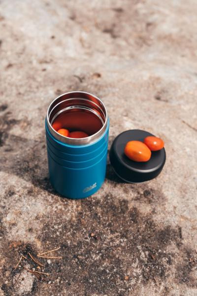 Buy ESBIT FJS550TL-PB food thermos