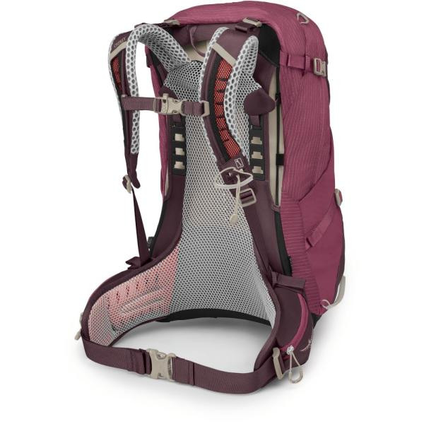 Buy Osprey Sirrus 34 backpack