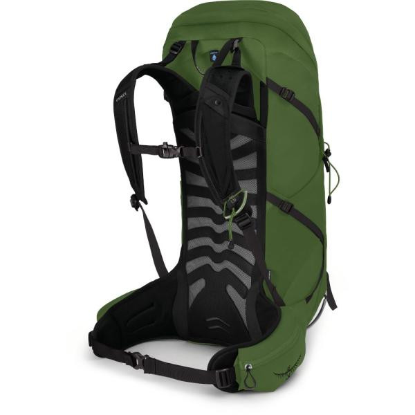 Buy Osprey Talon 36 backpack