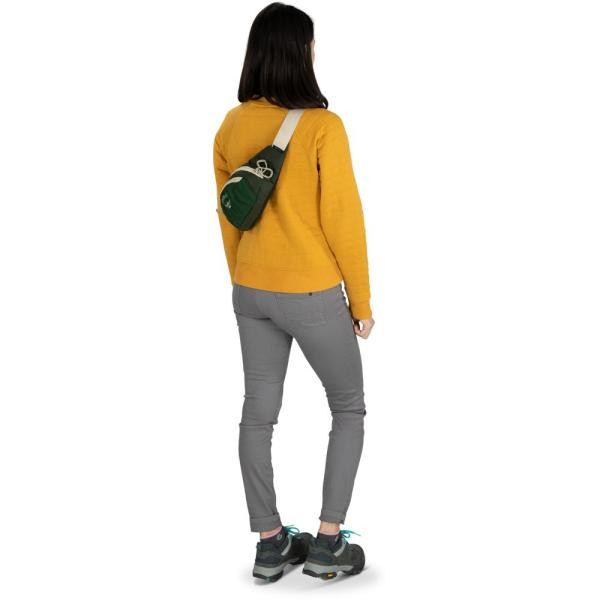 Buy Osprey Daylite Waist Belt Belt