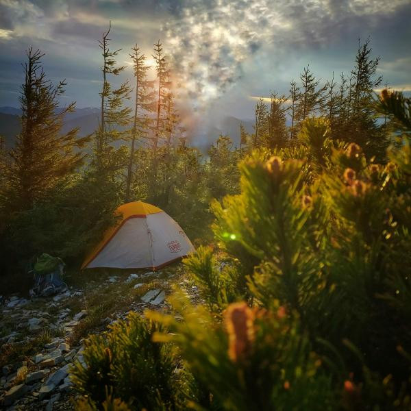 Buy Tent Turbat Borzhava 2