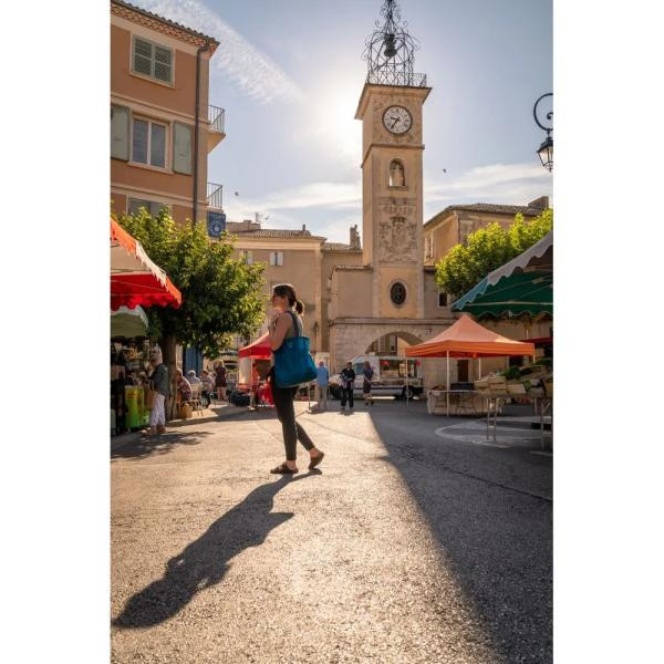 Купить Сумка Osprey Ultralight Stuff Tote