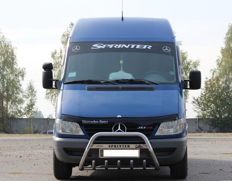 Купить Кенгурятник WT004 (нерж.) для Mercedes Sprinter W901/902/903/904/905 1995-2006 гг