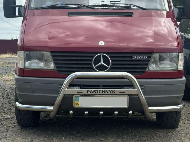 Купить Кенгурятник с усами (нерж.) для Mercedes Sprinter W901/902/903/904/905 1995-2006 гг