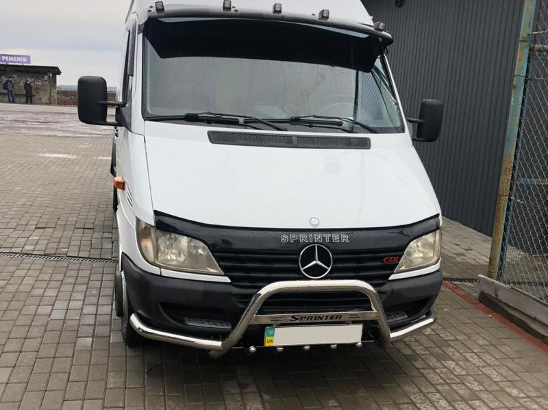 Купить Кенгурятник с усами (нерж.) для Mercedes Sprinter W901/902/903/904/905 1995-2006 гг