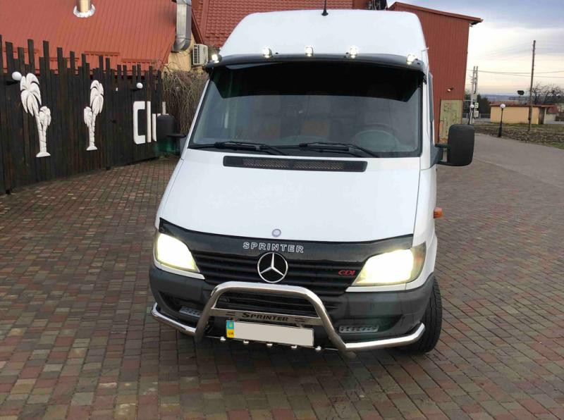 Купить Кенгурятник с усами (нерж.) для Mercedes Sprinter W901/902/903/904/905 1995-2006 гг