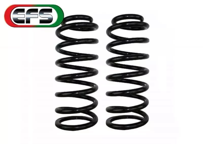 Buy Springs rear efs mit-101e +2 "Mitsubishi Pajero V20, Pajero Sport, Hyundai Terracan