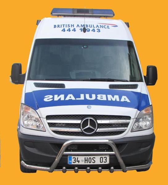 Купити Кенгурятник з вусами WT003-Plus (нерж.) для Mercedes Sprinter W906 2006-2018 рр