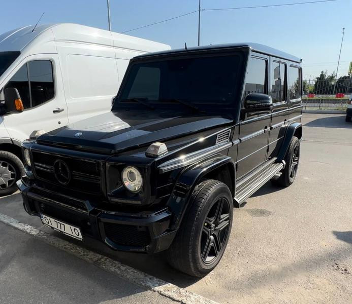 Купить Домик на передний бампер (G65) для Mercedes G сlass W463 1990-2018 гг