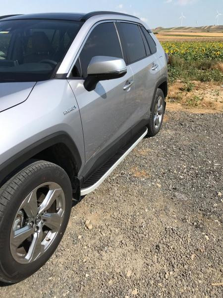 Купить Боковые пороги Tayga Grey (2 шт., алюминий) для Toyota Rav 4 2019- гг
