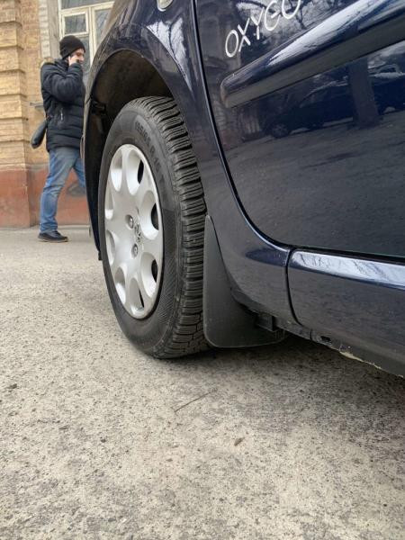 Купити Бризковики Premium (4 шт) для Peugeot 307