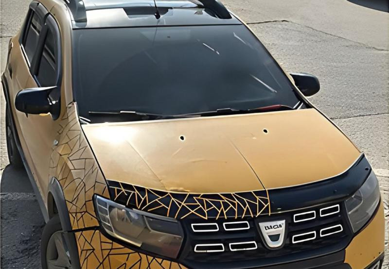 Купити Накладки на дзеркала BMW-Style (2 шт) для Renault Sandero 2013-2022 рр