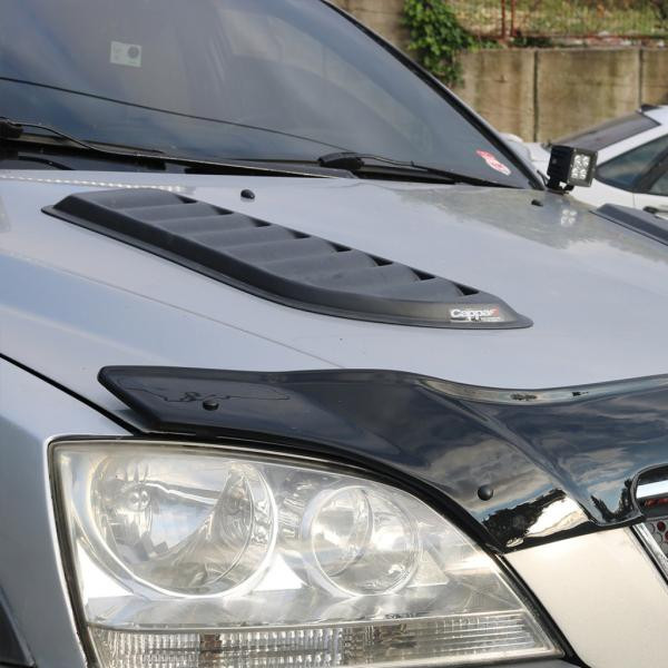 Купити Накладка на капот Eurocap (2 шт, ABS)