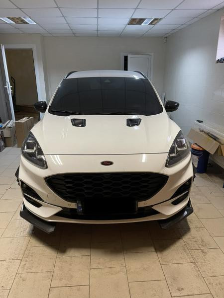 Купить Накладка на капот тип-B (2 шт, ABS)