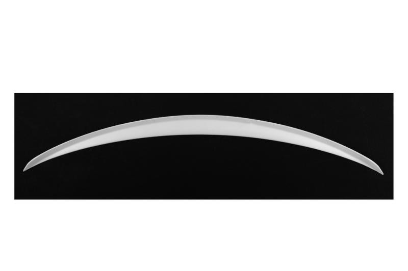 Купити Спойлер DPT V-1 (під фарбування) для Mercedes C-сlass W205 2014-2021рр