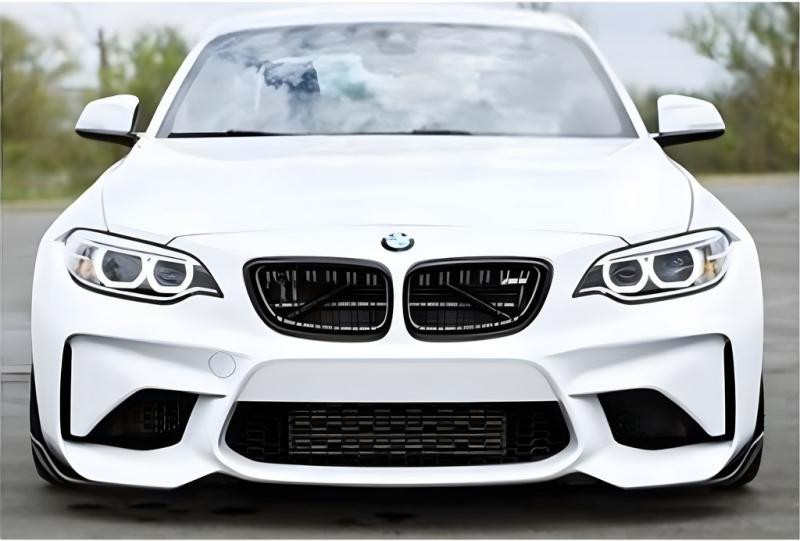 Купити Універсальна передня Flap накладка DPT V-1 (ABS) (2шт) (чорний глянець)