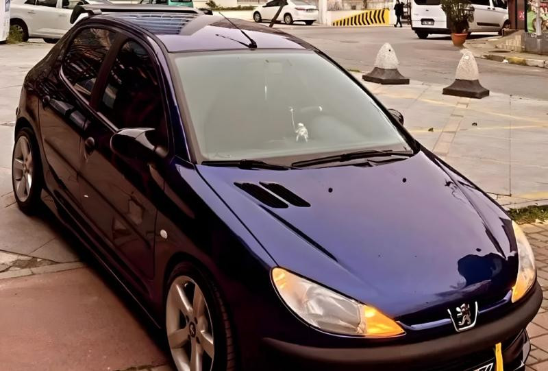 Купити Накладки на дзеркала BMW-Style (2 шт) для Peugeot 206