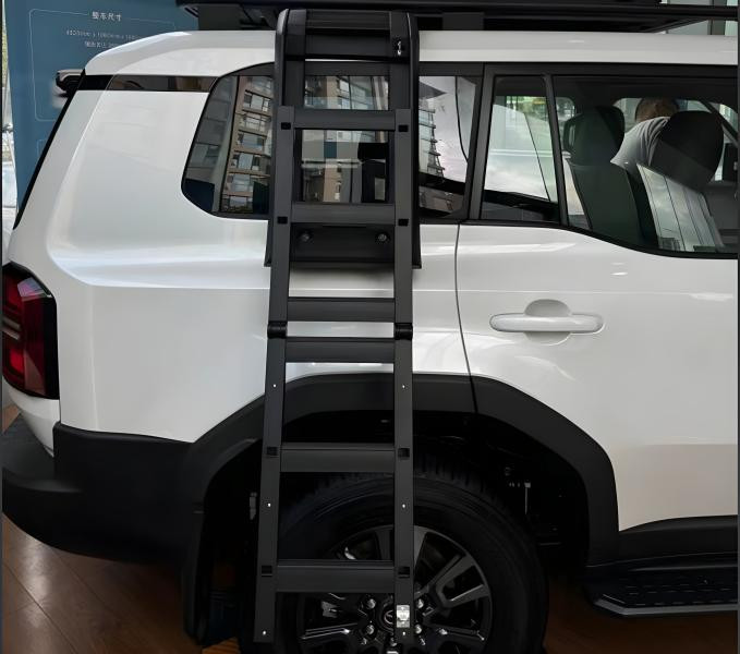 Купити Драбина (бічна) для Toyota Land Cruiser Prado 250