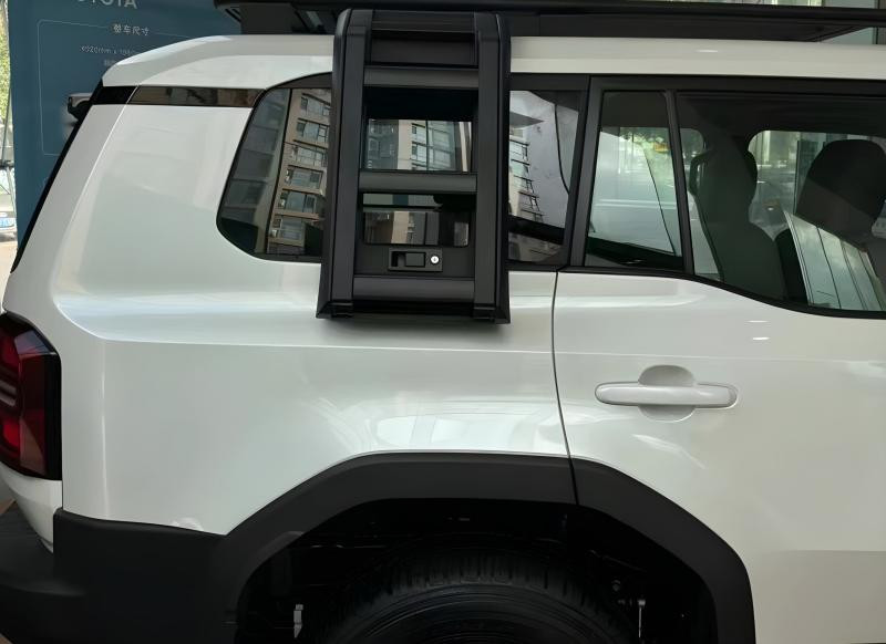 Купити Драбина (бічна) для Toyota Land Cruiser Prado 250