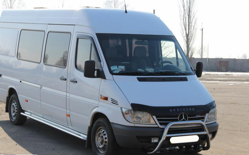 Купити Кенгурятник WT003 (нерж.) для Mercedes Sprinter W901/902/903/904/905 1995-2006 рр