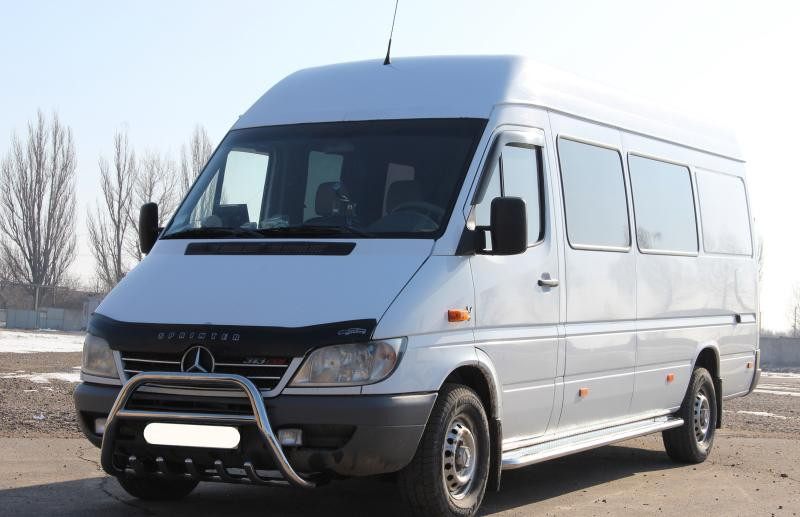 Купити Кенгурятник WT003 (нерж.) для Mercedes Sprinter W901/902/903/904/905 1995-2006 рр