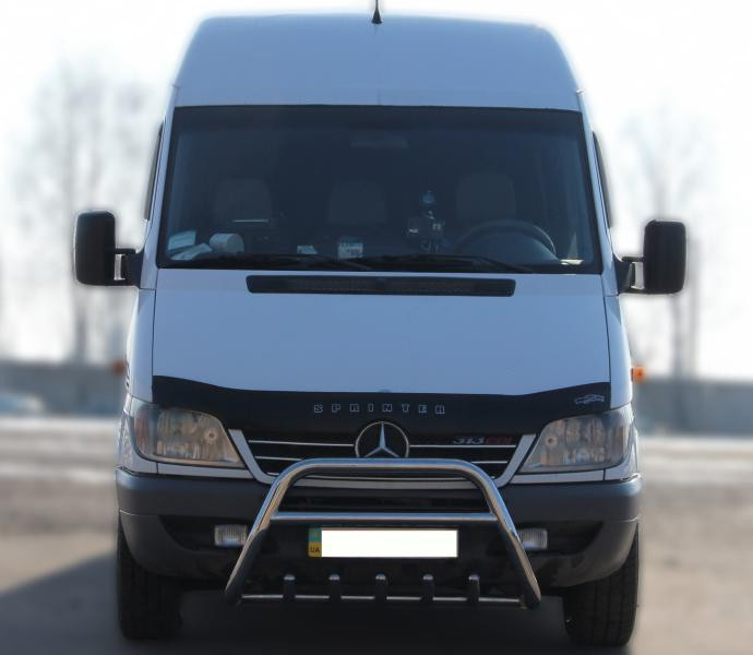 Купити Кенгурятник WT003 (нерж.) для Mercedes Sprinter W901/902/903/904/905 1995-2006 рр