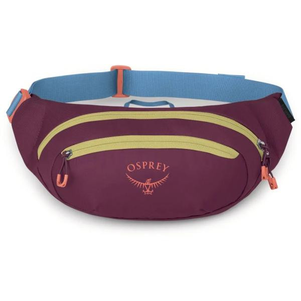 Купити Поясна сумка Osprey Daylite Waist