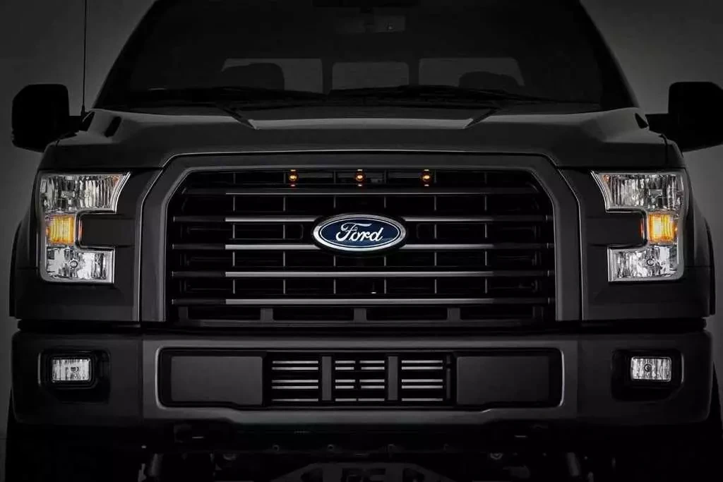 Buy Set of LED grilles Rough Country for Ford F150 15-17