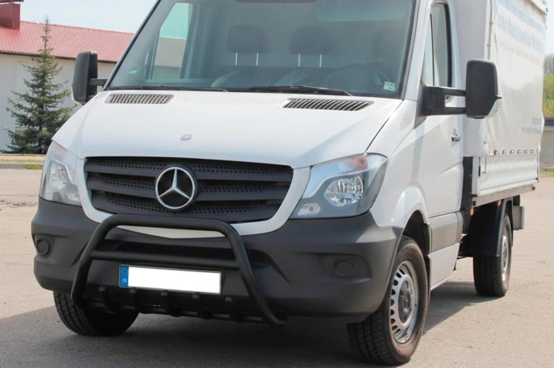 Купить Кенгурятник WT003 (черный) для Mercedes Sprinter W906 2006-2018 гг