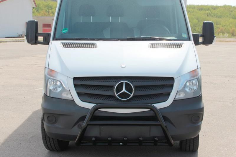 Купить Кенгурятник WT003 (черный) для Mercedes Sprinter W906 2006-2018 гг