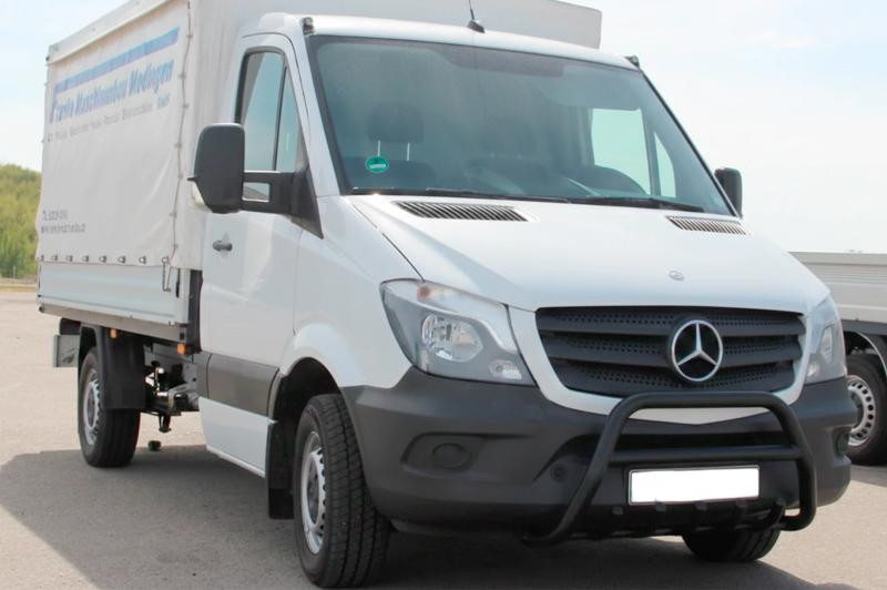 Купить Кенгурятник WT003 (черный) для Mercedes Sprinter W906 2006-2018 гг