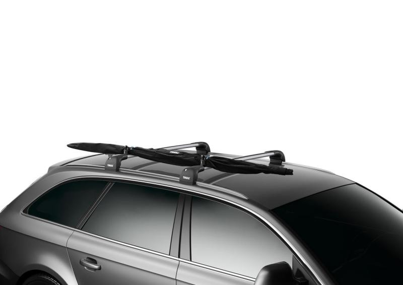 Купить Сумка для лыж Thule SkiClick Bag 729400 (TH 729400)