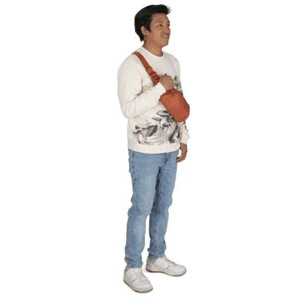 Купить Поясна сумка Osprey Daylite Waist