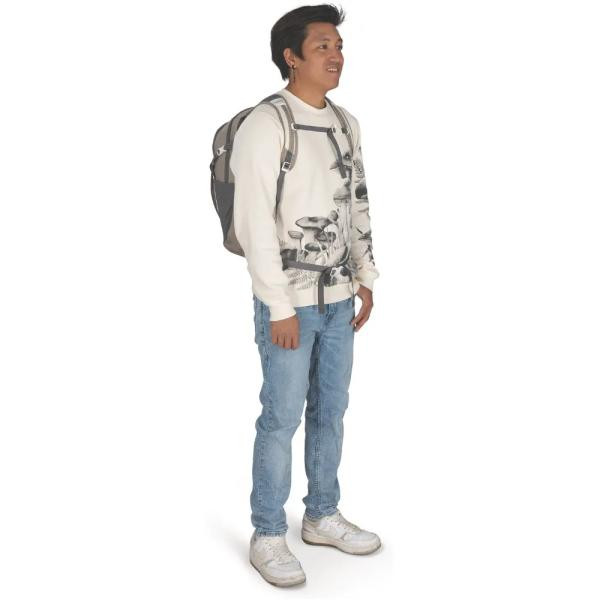 Купить Рюкзак Osprey Daylite Plus
