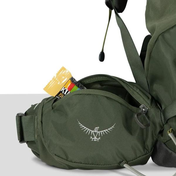 Купить Рюкзак Osprey Kestrel 38