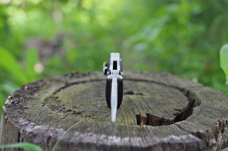 Buy Than a folding ganzo g720-b black