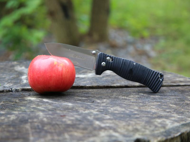 Buy Than a folding ganzo g720-b black