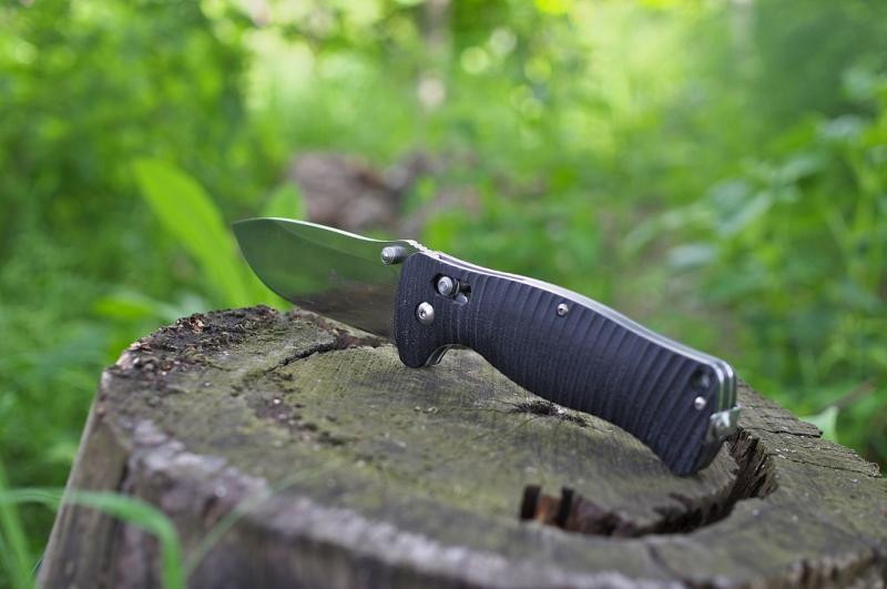 Buy Than a folding ganzo g720-b black