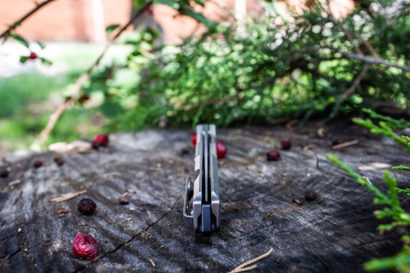 Buy Than a folding Ruike P108-SF