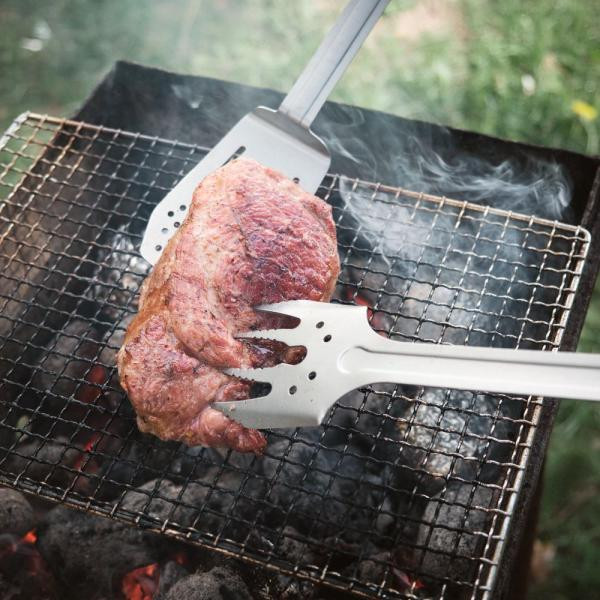 Buy Compact Barbecue ROXON S601 Metal