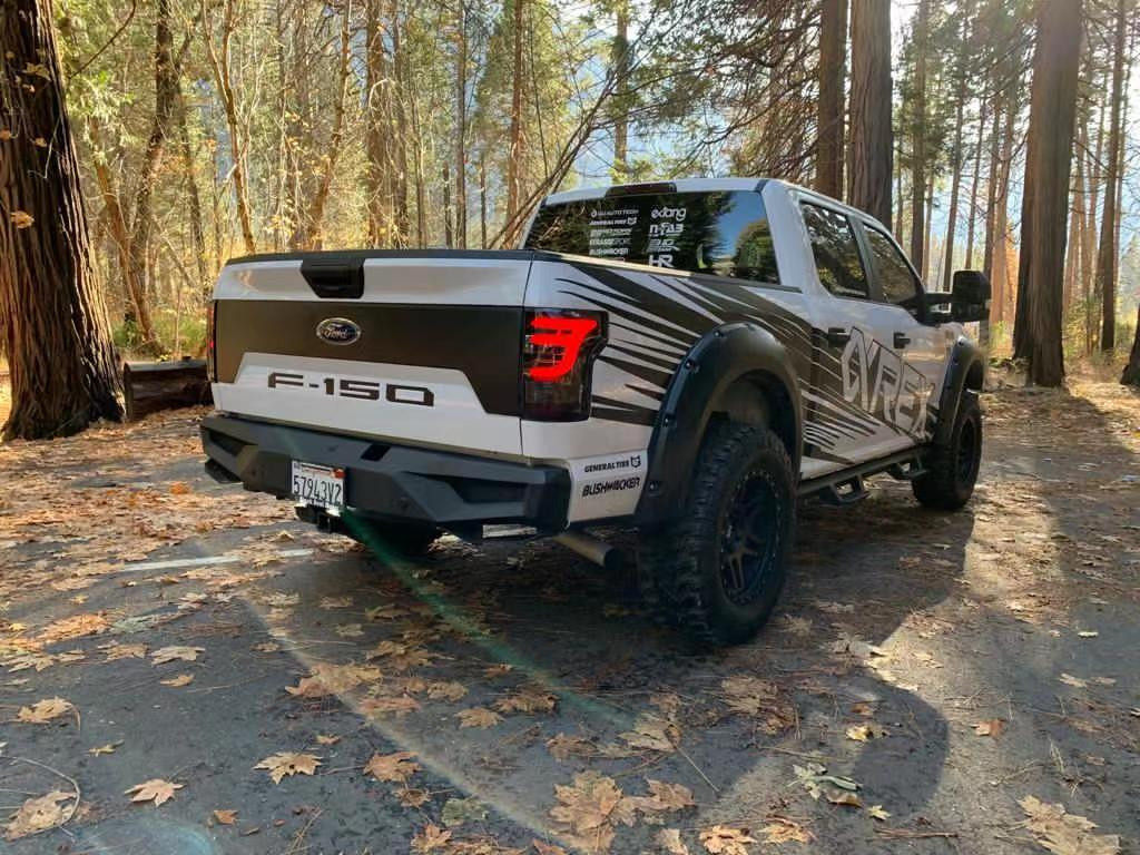 Buy Rear Ford F150 2015-2020 LED PRO series carbohy-black Alpharex ATL-FIF15-W-Lbs