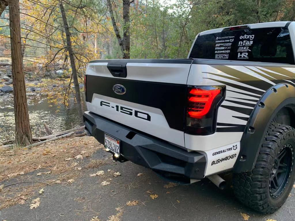 Buy Rear Ford F150 2015-2020 LED PRO series carbohy-black Alpharex ATL-FIF15-W-Lbs