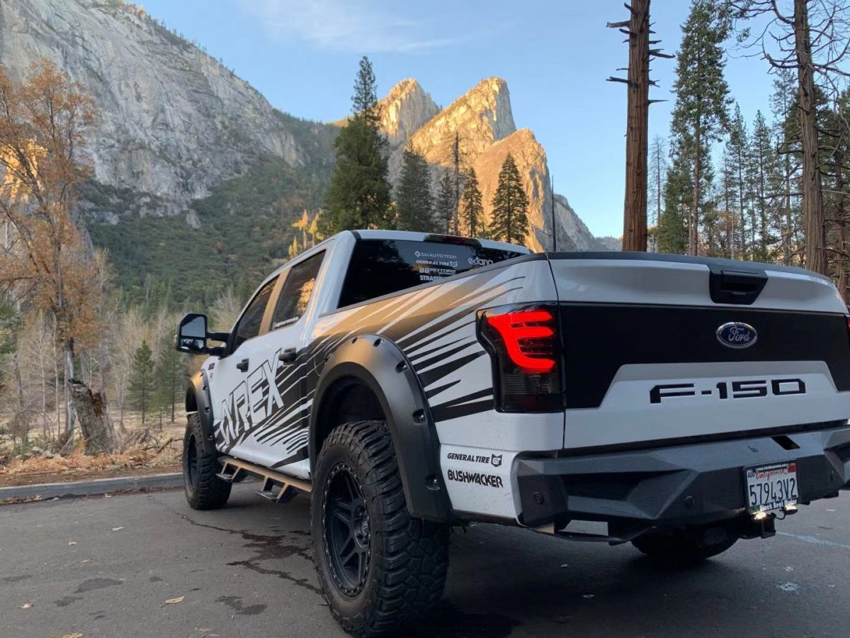 Buy Rear Ford F150 2015-2020 LED PRO series Red-Small Alpharex Atl-FF15-R-RS