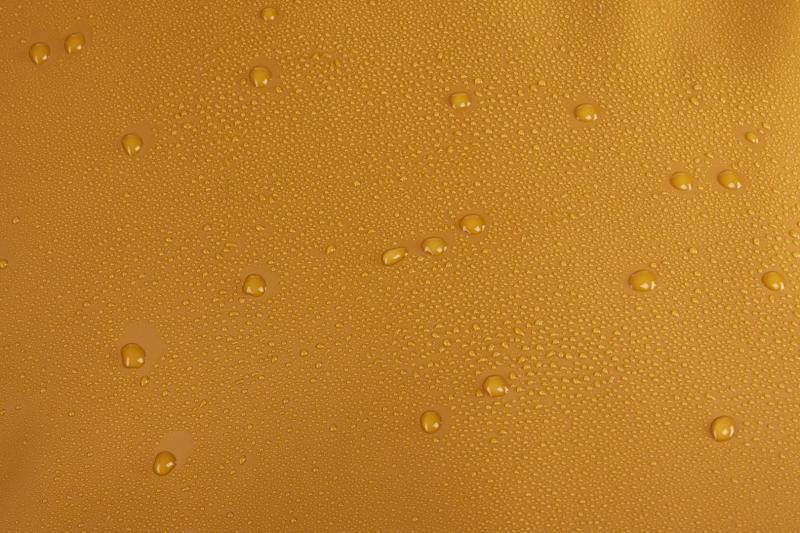 Купить Спортивная сумка Thule Chasm Duffel 70L (Golden) (TH 3204995)