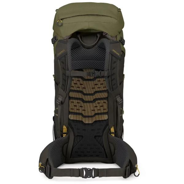 Купить Рюкзак Osprey Kestrel LT 65