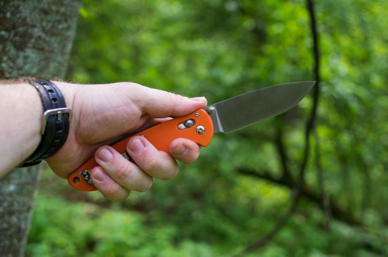 Buy Than a folding ganzo g740-bk black